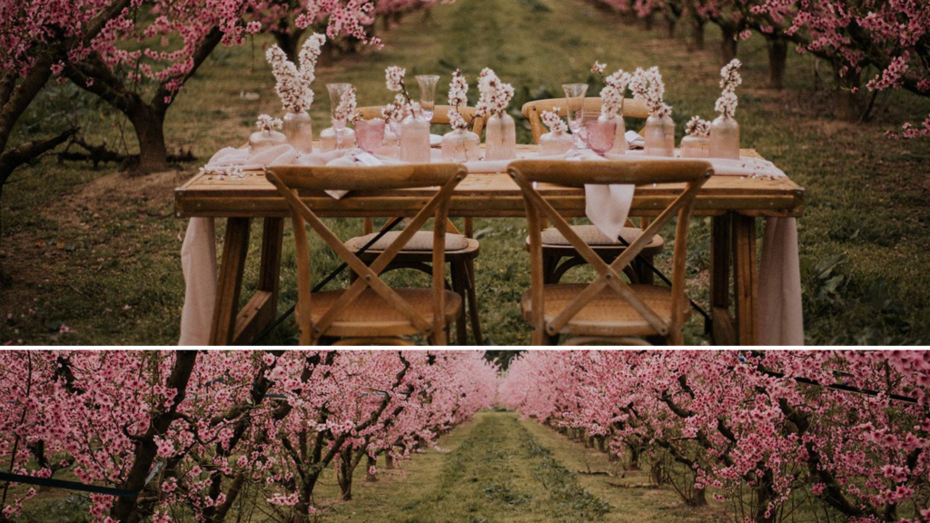 spacio_diferente_boda_Lleida_Lligabosc_wedding_planner_Tatiana_Vila